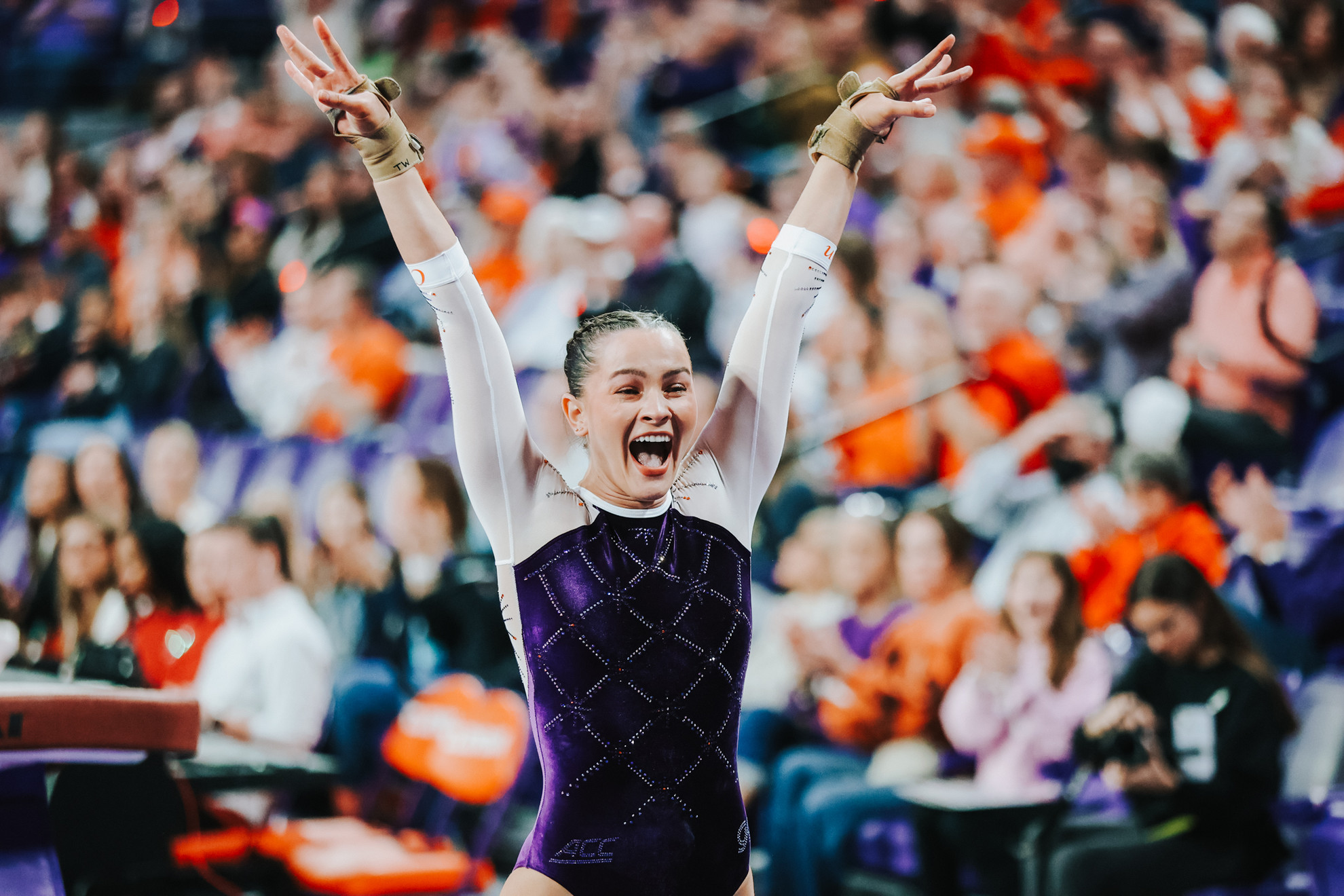 Clemson Posts 196.550 Against Alabama - Clemson University Athletics