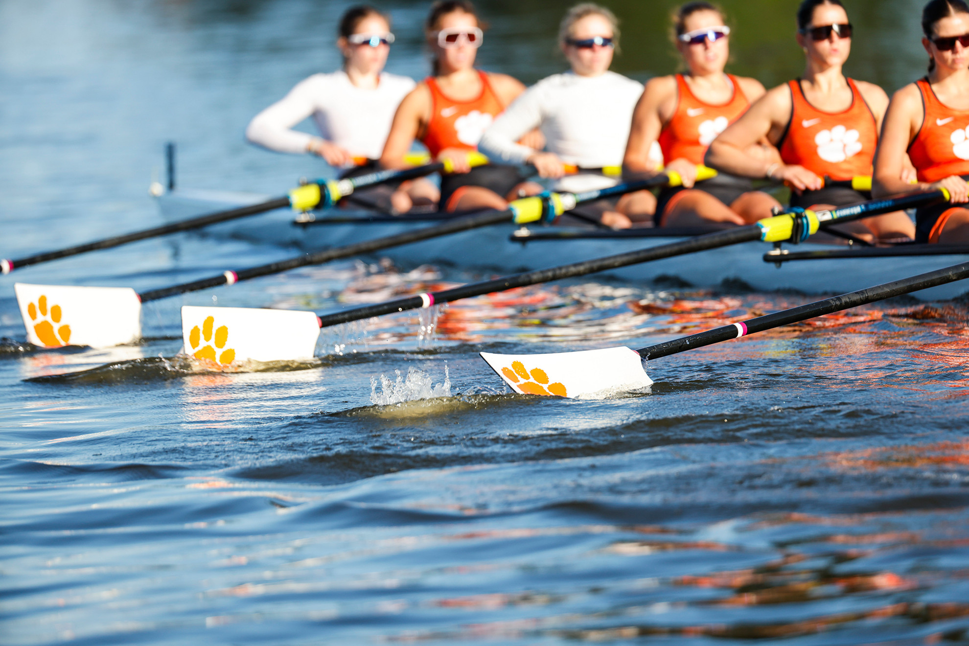 Clemson Rowing Places Seven on 2026 CRCA Scholar-Athlete List - Clemson University Athletics