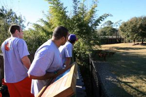 Photo credit: Mark Crammer