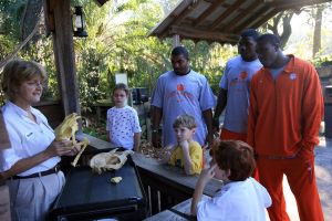 Photo credit: Mark Crammer