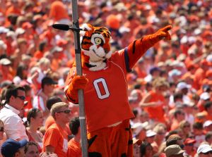 tiger fans crowd stands 090807