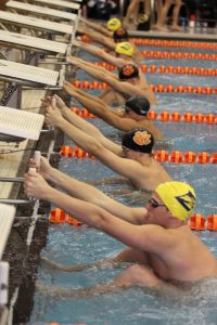 swimmer swimming 020412