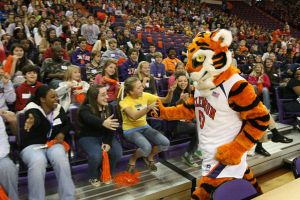 tip off for success 110308