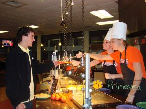 tigers in the kitchen 110508