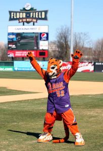 tiger mascot