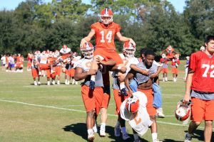 Photo credit: Mark Crammer