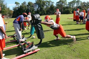 Photo Credit: Mark Crammer