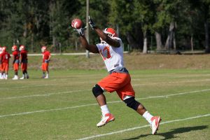 Photo Credit: Mark Crammer