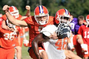 Photo credit: Mark Crammer