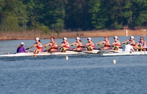 novice eight