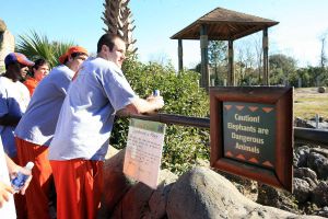 Photo credit: Mark Crammer