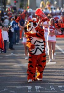 gator bowl pep rally and parade 123108