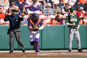 Photo by Mark Crammer