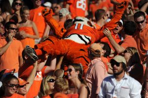 tiger mascot crowd surfing