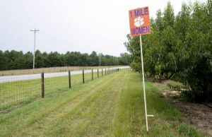 Musser Farms Cross Country Course - First Loop