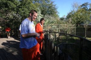 Photo credit: Mark Crammer