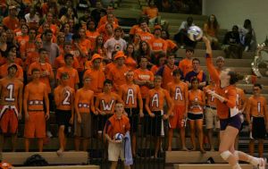 crowd students cheer fans