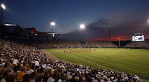 Rosenblatt Stadium fields fans stands