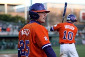 Photo by Mark Crammer