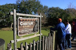 Photo credit: Mark Crammer