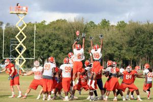 Photo Credit: Mark Crammer