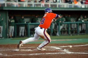 Photo by Mark Crammer