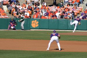 Photo by Mark Crammer