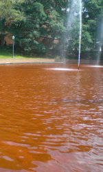 Central Spirit Dyes Library Reflection Pond Orange for Clemson vs. Auburn Game