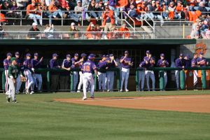 Photo by Mark Crammer