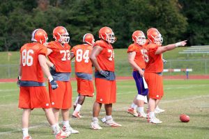 Photo Credit: Mark Crammer