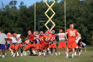 Photo credit: Mark Crammer