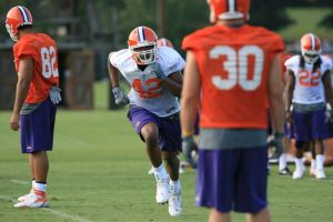 Photo Credit: Mark Cramer