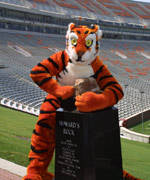 The Tiger and Tiger Club Mascot Tradition