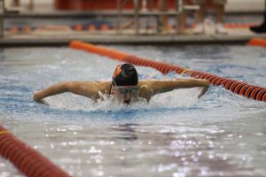 swimmer swimming 020412