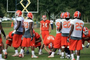 Photo Credit: Mark Crammer