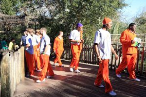 Photo credit: Mark Crammer