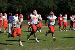 Photo credit: Mark Crammer