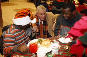 tiger wonderland 121410