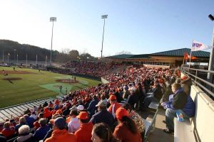 Photo by Mark Crammer