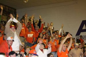 fans in stands crowd cheer