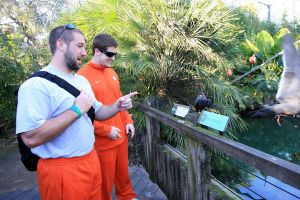 Photo credit: Mark Crammer