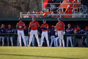 Photo by Mark Crammer