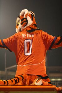 tiger mascot 090307