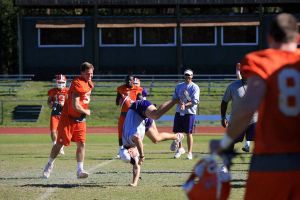 Photo credit: Mark Crammer