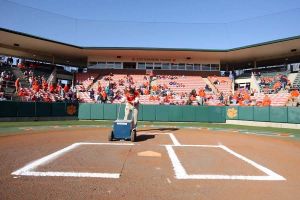 Photo by Mark Crammer