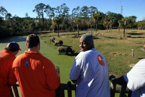 Photo credit: Mark Crammer