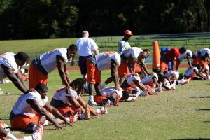 Photo credit: Mark Crammer