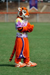 tiger mascot