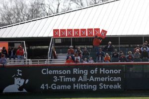 Photo by Mark Crammer