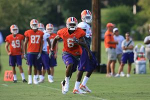 Photo Credit: Mark Cramer